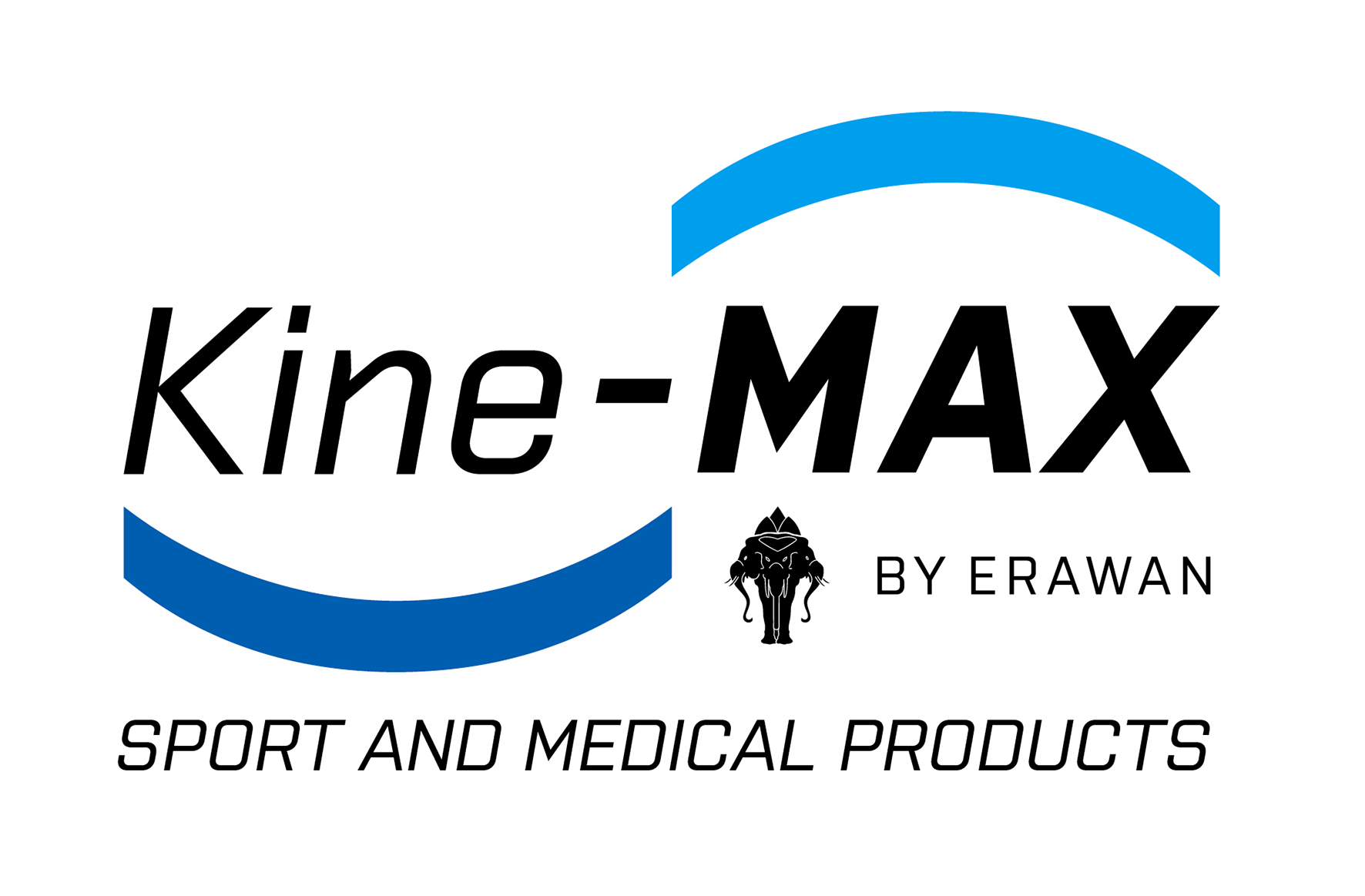 Kine-MAX logo color 15cm.jpg